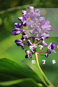 欠了9家網(wǎng)貸還不動了怎么辦(欠了多家網(wǎng)貸還不上怎么辦)