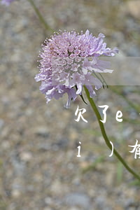 欠了e租寶的網(wǎng)貸還沒(méi)有還(e租寶貸款是不是不用還了)