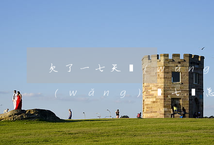 欠了一七天網(wǎng)貸怎么辦(欠了網(wǎng)貸七萬怎么辦)