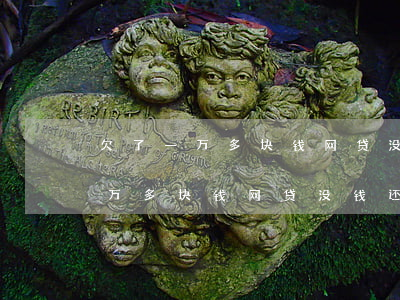 欠了一万多块钱网贷没钱还怎么办-欠了一万多块钱网贷没钱还怎么办呢