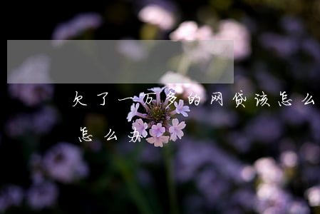 欠了一万多的网贷该怎么办(我欠一万多网贷怎么办)