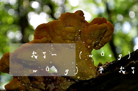 欠了一個網(wǎng)貸公司幾萬塊(網(wǎng)貸平臺欠了十幾萬)
