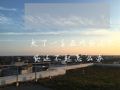 欠了一千五网贷还不上怎么办(欠了四五万网贷还不起怎么办)