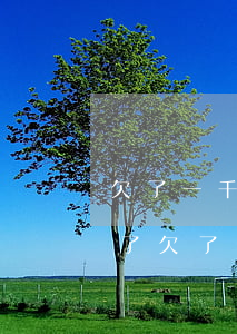 欠了一千塊花唄怎么自動(dòng)還完了(欠了一千塊花唄怎么自動(dòng)還完了)