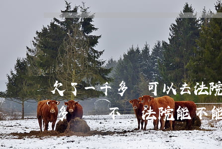 欠了一千多塊可以去法院起訴嗎(欠2000多塊錢不還法院能不能起訴)