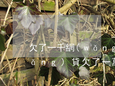 欠了一千網(wǎng)貸終于還了(網(wǎng)貸欠了一萬元怎么辦)