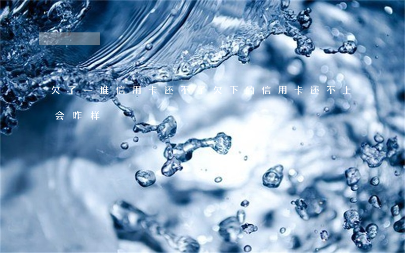 欠了一堆信用卡还不了(欠下的信用卡还不上会咋样)