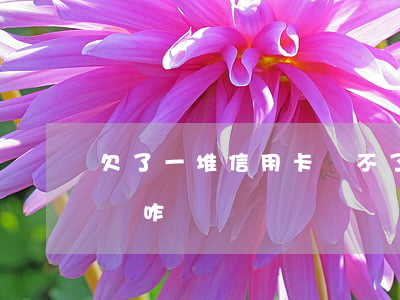 欠了一堆信用卡還不了(欠下的信用卡還不上會咋樣)