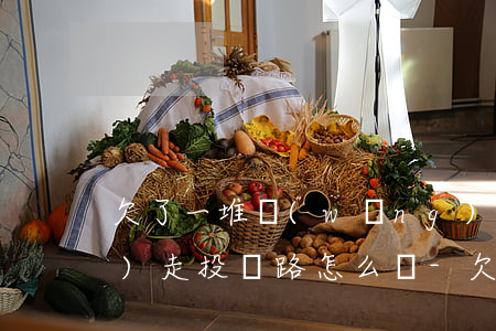 欠了一堆網(wǎng)貸已經(jīng)走投無路怎么辦-欠網(wǎng)貸太多了走投無路了怎么辦