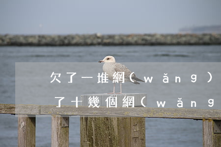 欠了一堆網(wǎng)貸我該怎么辦(我欠了十幾個網(wǎng)貸怎么辦)