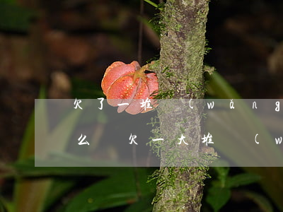 欠了一堆網(wǎng)貸會(huì)怎么樣(欠一大堆網(wǎng)貸如何處理)