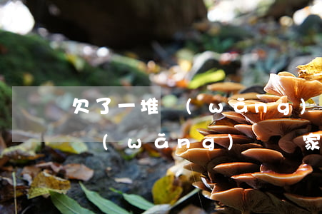 欠了一堆網(wǎng)貸離家出走合適嗎(網(wǎng)貸離家出走打工還清了在回家)
