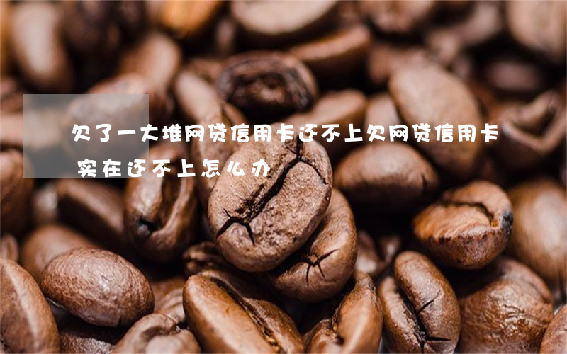 欠了一大堆网贷信用卡还不上(欠网贷信用卡实在还不上怎么办)