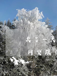 欠了一大堆网贷跟信用卡怎么处理(欠一屁股网贷跟信用卡怎么办)