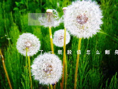 欠了一屁股債怎么翻身-欠了一屁股債如何翻身