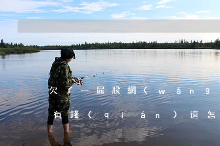欠了一屁股網(wǎng)貸沒(méi)有錢(qián)還怎么辦(欠幾萬(wàn)塊網(wǎng)貸沒(méi)錢(qián)還該怎么辦)