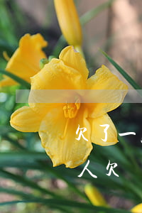 欠了一屁股網(wǎng)貸沒親人(有沒有人欠網(wǎng)貸沒還的)