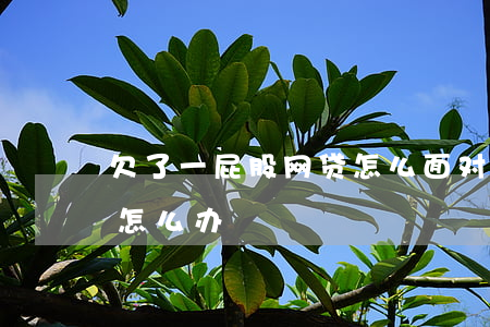 欠了一屁股网贷怎么面对家人(家人欠了网贷怎么办)