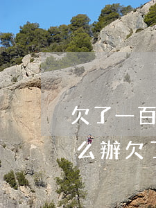 欠了一百多個(gè)網(wǎng)貸怎么辦(欠了1萬多網(wǎng)貸怎么辦)