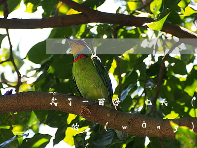 欠了一百多個七天網(wǎng)貸(七天一還的網(wǎng)貸怎么找)