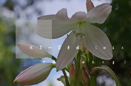 欠了一百多家網(wǎng)貸怎么辦(欠了幾十家網(wǎng)貸還不了了怎么辦?)