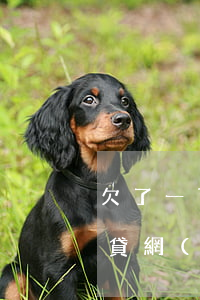 欠了一百多萬(wàn)的網(wǎng)貸(網(wǎng)貸欠一百萬(wàn)怎么辦)