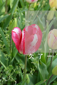 欠了一百多萬信用卡