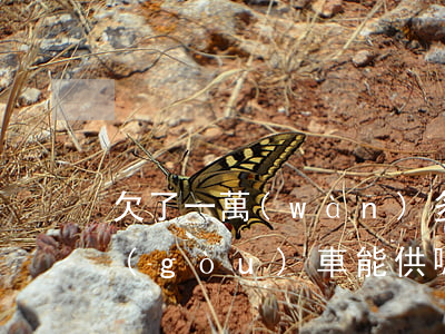 欠了一萬(wàn)多網(wǎng)貸購(gòu)車能供嗎(欠了很多網(wǎng)貸可以貸款買車嗎)