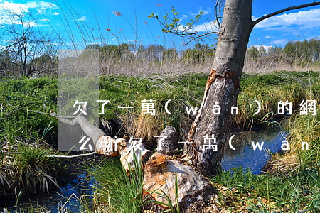 欠了一萬(wàn)的網(wǎng)貸怎么辦(欠了一萬(wàn)多網(wǎng)貸怎么辦)