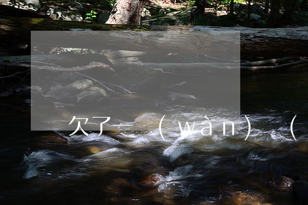 欠了一萬(wàn)網(wǎng)貸怎么還