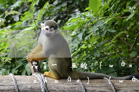欠了一萬五的網(wǎng)貸怎么周轉(zhuǎn)(網(wǎng)貸一萬五不還會怎樣)
