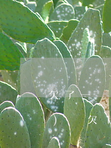 欠了一萬八網(wǎng)貸(網(wǎng)貸欠1萬)