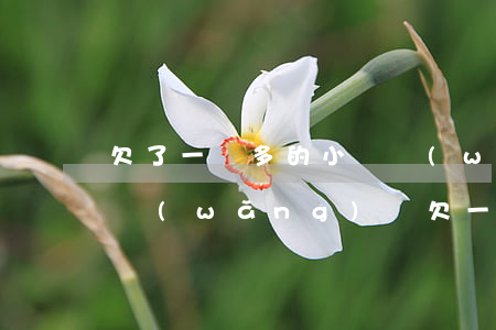 欠了一萬多的小額網(wǎng)貸怎么辦(網(wǎng)貸欠一萬多嗎)
