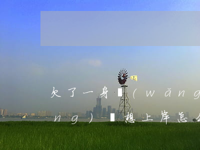 欠了一身網(wǎng)貸上岸(欠網(wǎng)貸想上岸怎么辦)
