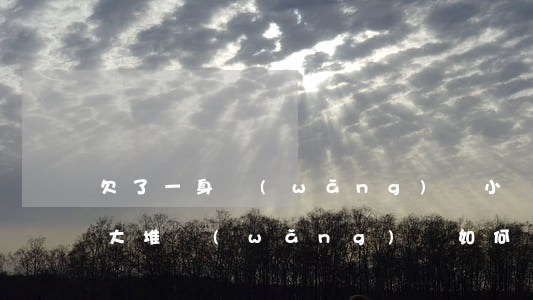 欠了一身網(wǎng)貸小貸怎么辦(欠一大堆網(wǎng)貸如何處理)
