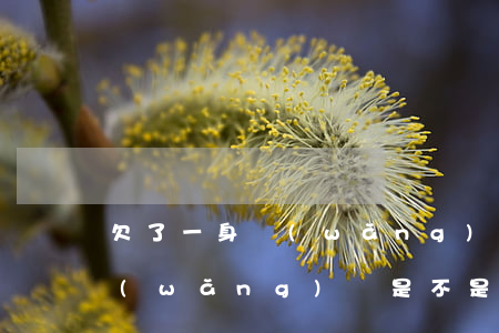 欠了一身網(wǎng)貸就是還不起了(網(wǎng)貸是不是一輩子也還不起)