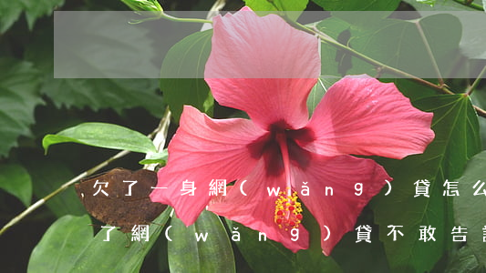 欠了一身網(wǎng)貸怎么和家里說(欠了網(wǎng)貸不敢告訴家里)