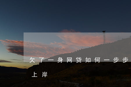 欠了一身网贷如何一步步还款上岸(欠网贷想上岸)