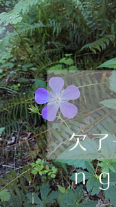 欠了一點網(wǎng)貸怎么辦(網(wǎng)貸欠錢了怎么辦)