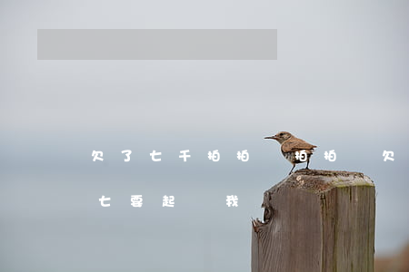欠了七千拍拍貸(拍拍貸欠五千逾期變成一萬七要起訴我)
