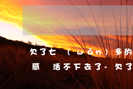 欠了七萬(wàn)多的網(wǎng)貸感覺活不下去了-欠了7萬(wàn)網(wǎng)貸