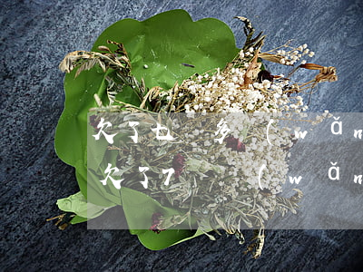 欠了七萬多網(wǎng)貸不敢給老婆說(欠了7萬網(wǎng)貸)