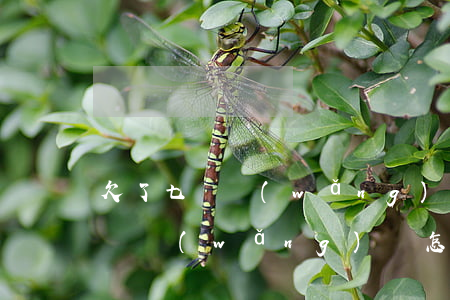 欠了七萬網(wǎng)貸怎么辦(欠了七八萬網(wǎng)貸怎么還)