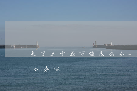 欠了三十五万该怎么办-欠了三十五万该怎么办呢