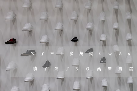 欠了三十多萬網(wǎng)貸只能賣房還債了(欠了30萬要賣房還債嗎)