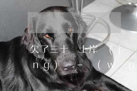 欠了三十萬上岸經(jīng)歷網(wǎng)賭-網(wǎng)賭欠三十萬怎么上岸