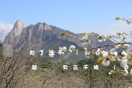 欠了三千網(wǎng)貸會(huì)被起訴嗎(欠三千被網(wǎng)貸起訴如何處理)