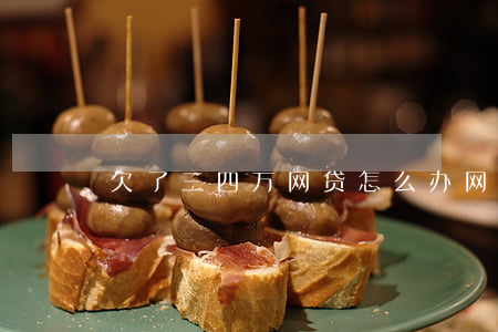 欠了三四万网贷怎么办(网贷欠了4万怎么办)