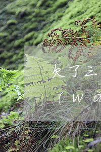 欠了三年的網(wǎng)貸(欠了三年的網(wǎng)貸又開始打電話了)