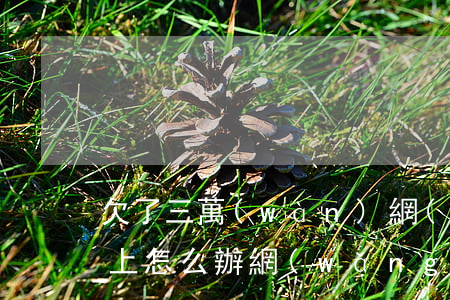 欠了三萬(wàn)網(wǎng)貸還不上怎么辦(網(wǎng)貸欠三十萬(wàn)還不上怎么辦?)